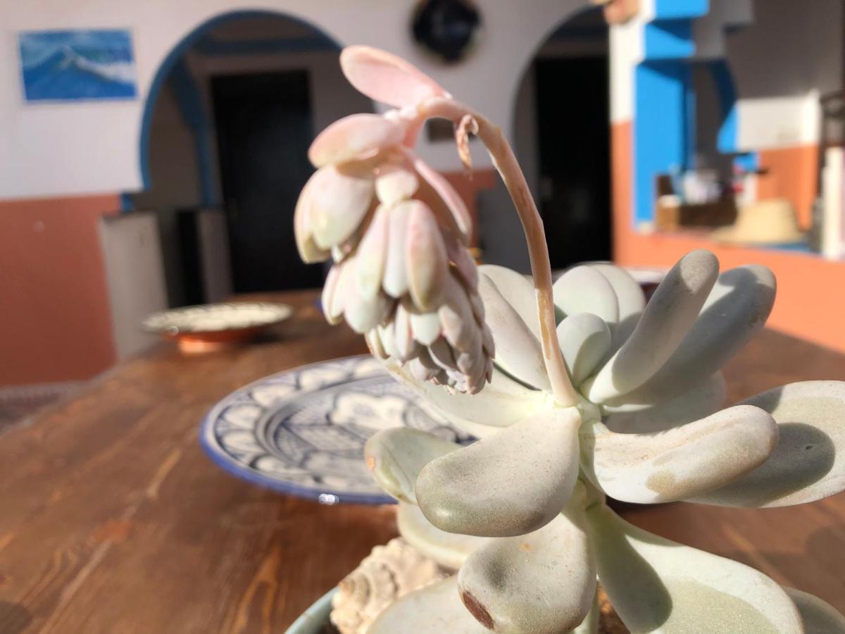 Binic Surf House Bed and Breakfast Taghazout Exterior foto