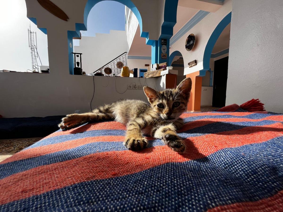Binic Surf House Bed and Breakfast Taghazout Exterior foto